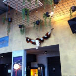 Maslow Café Extérieur