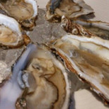 Neuf Mille Nourriture