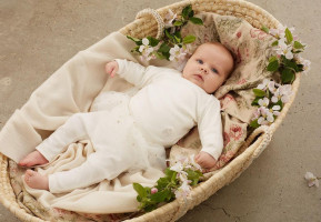 Petite Maison Bebida