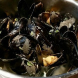 Breydel De Coninc Bebida