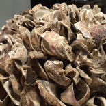 Breydel De Coninc Bebida