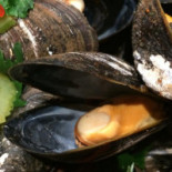 Breydel De Coninc Bebida