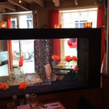 Breydel De Coninc Dentro