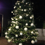 Bistro Refter Boisson