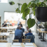 Het Paradijs Boisson