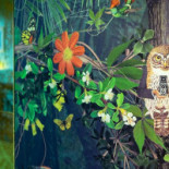 Paula Mostaert Boisson