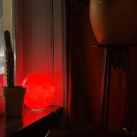 Paula Mostaert À l'intérieur