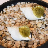 De Jonkman Nourriture