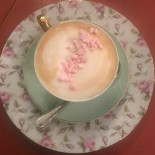 Blackbird Nourriture