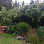 Boudewijn Seapark Exterior