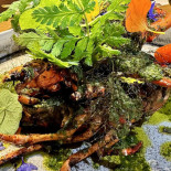 Less Eatery Nourriture