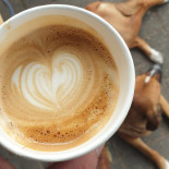 Beanbeard Coffees Getränk