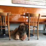 L'aubette À l'intérieur