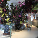 Pierre Marcolini I The Biscuit Shop Extérieur