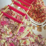 Pierre Marcolini I The Biscuit Shop Nourriture