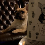 Edgar’s Flavors Boisson