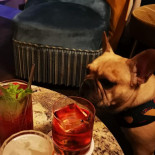 Edgar’s Flavors Boisson