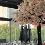 Coco Brussels À l'intérieur