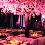 Coco Brussels À l'intérieur