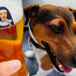 Café Lutgarde Boisson