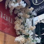 Neuhaus Chocolates Extérieur