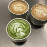 Animo Studios Louise Bebida