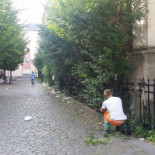 Cosmos Excelsior Exterior