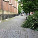 Cosmos Excelsior Exterior