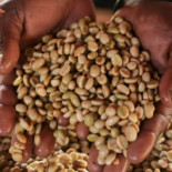 Malaika Coffee Boisson