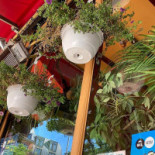 Volle Brol Extérieur