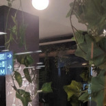 Superbowl Midi Boisson