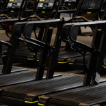 Animo Studios Louise Bebida