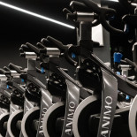 Animo Studios Louise Bebida