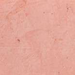 Glaçage Brussels Boisson