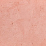 Glaçage Brussels Boisson