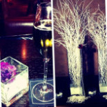 Le Louise Brussels Bebida