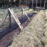 Brut Traiteur Gastronomique Bio