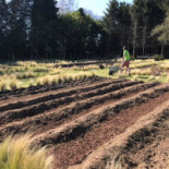 Brut Traiteur Gastronomique Bio