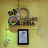 Rose De Damas Carta
