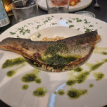 The Unavoidable Bebida