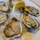 Le Pigeon Noir Boisson