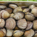 Le Zee Poissonnerie Comida