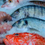 Le Zee Poissonnerie Bebida