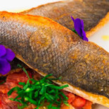 Le Zee Poissonnerie Comida