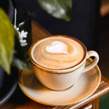 Spread The Moon Bebida