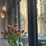 Spread The Moon Bebida