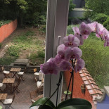 La Table Rustique Exterior