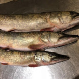 L'atelier De Willy Nourriture