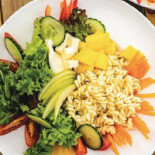 Yuca Latina Nourriture