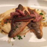 Beaucoup Fish Nourriture